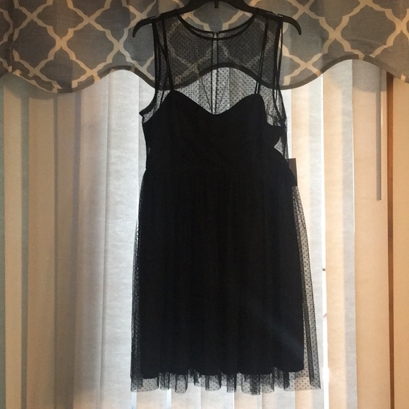 💃🏻Flocked Tulle Fit&Flare Drss💃🏻 - Picture 7 of 8